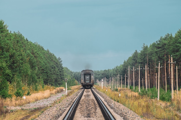 Eisenbahnwagen fährt mit Schienen im Wald. Pfosten mit Drähten entlang Schienen.