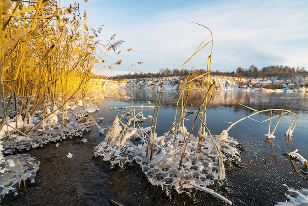 Eisfiguren des Wassers in den Schilfbüschen am Ufer des Stausees