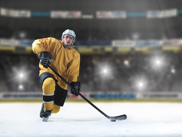 Eishockeyspieler in Aktion