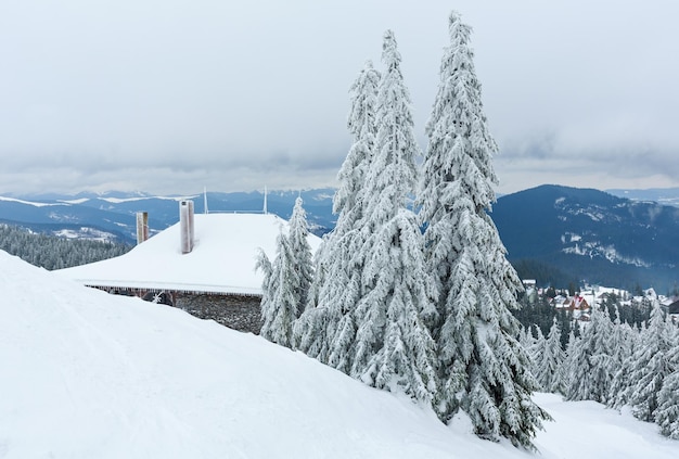 Eisige verschneite Tannen auf Winterhügel (Karpaten).