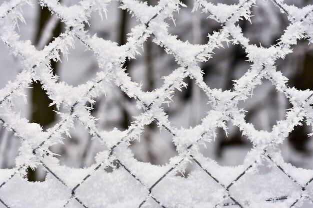 Eisiger Zaun Schöne Winter saisonale abstrakten Hintergrund.