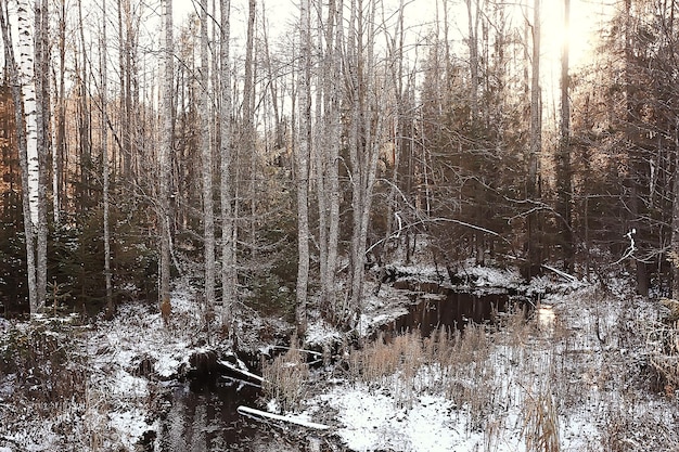 eiskalter fluss november dezember, saisonale landschaft im naturwinter