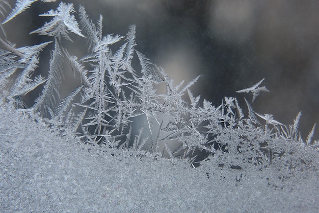 Foto eismuster auf gefrorenem fenster