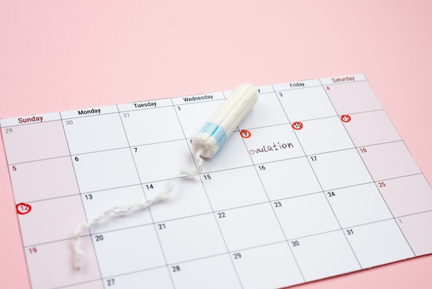 Eisprungkalender, Tupfer. Konzept des regelmäßigen Menstruationszyklus.