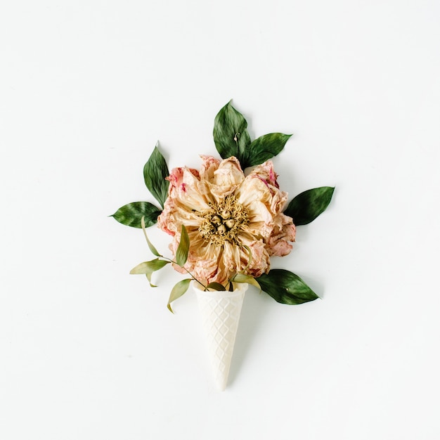 Eiswaffeltüte mit getrockneter beiger Pfingstrosenblume auf Weiß