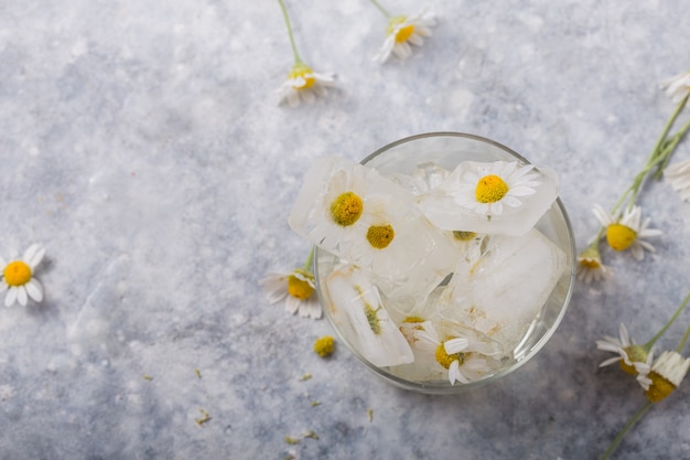 Eiswürfel mit Kamillenblüten im Inneren