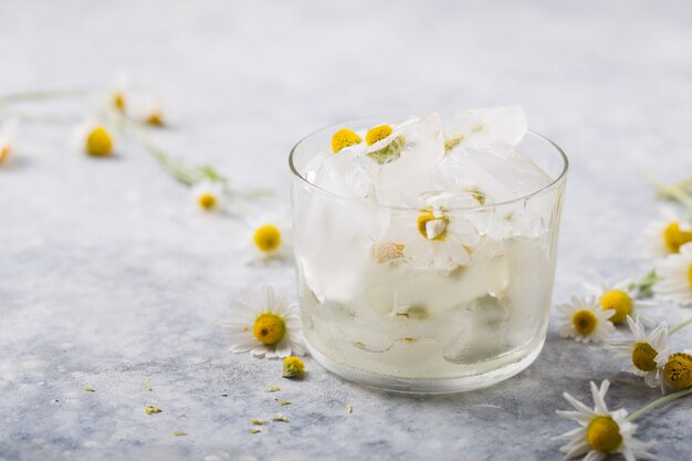 Eiswürfel mit Kamillenblüten im Inneren