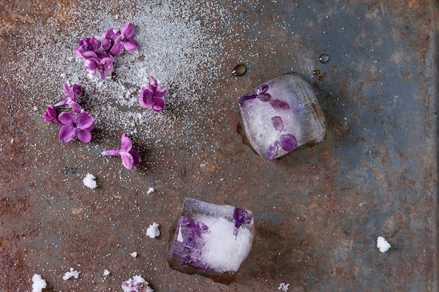 Eiswürfel mit lila blüten