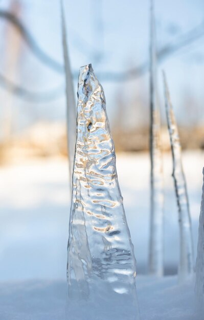 Eiszapfen, die in einer Schneewehe stehen Selektiver Fokus