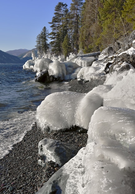 Eiszapfen und Schnee auf den Felsen am Ufer des Sees Teletskoye, der im Winter nicht gefriert