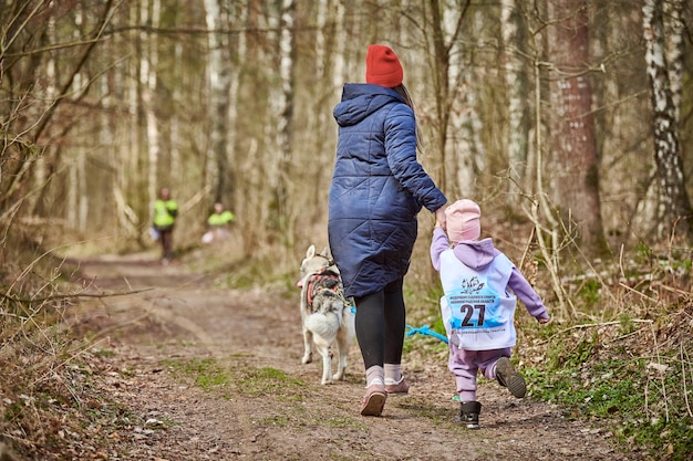 Ejecutando a la madre y la niña tirando del perro de trineo Husky siberiano en el arnés en el camino del bosque de otoño