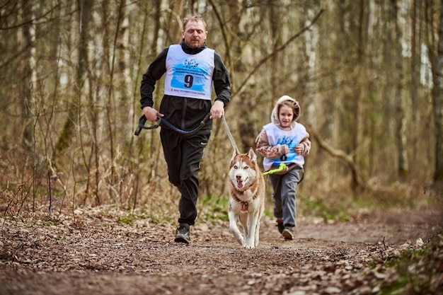 Ejecutando padre y niña tirando de un perro de trineo Husky siberiano en el arnés en el camino del bosque de otoño