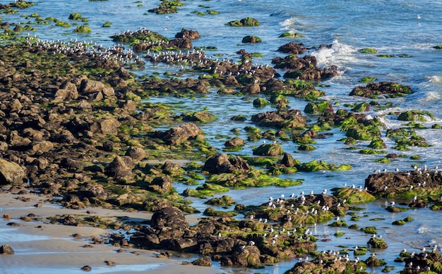 El Matador State Beach Califórnia