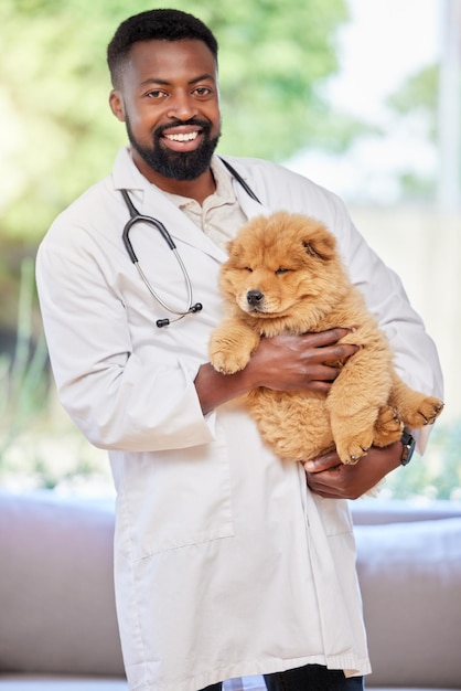 Ela não é apenas fofa. Foto de um veterinário irreconhecível examinando um cachorro em seu escritório.