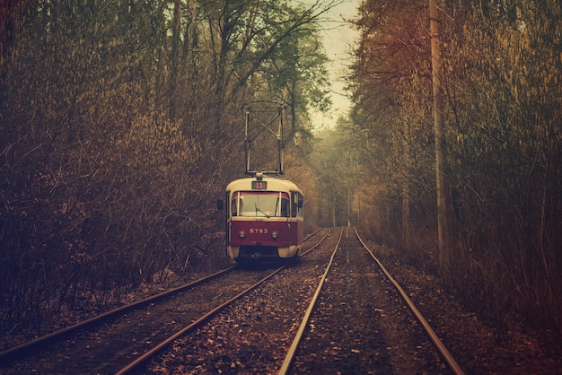 Eléctrico vermelho vintage que atravessa a parte florestal da cidade Fundo de outono no parque em Kiev Ucrânia