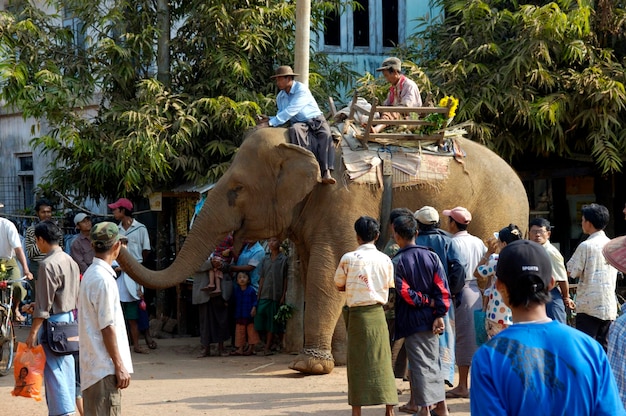 Elefant na praça do mercado Kyaikhtiyo Pagoda Bago Burma