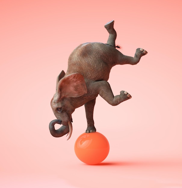 Elefante africano balanceándose sobre una bola naranja. Ilustración 3D