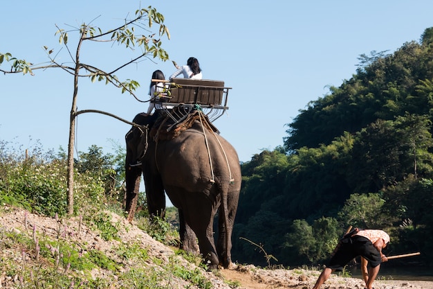 Elefante andando pelo rio para turistas no norte da Tailândia