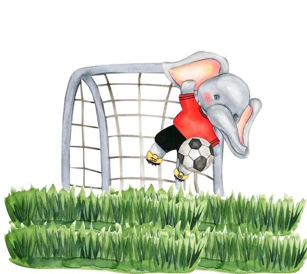 Elefante jogador de futebol aquarela composição aquarela ilustração desenhada à mão