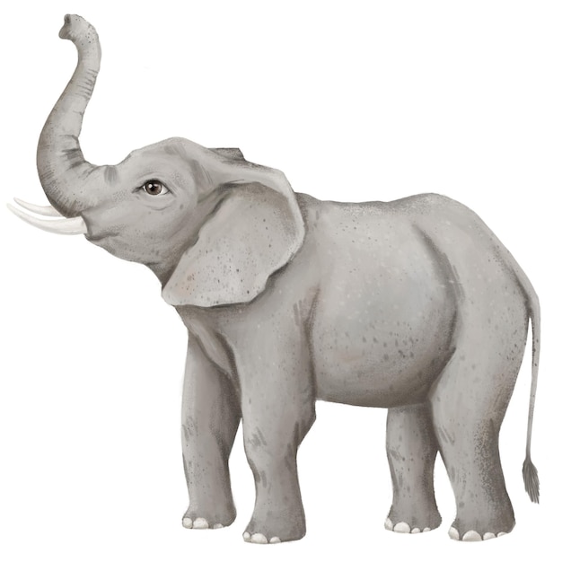 Elefante pegatina png ilustración de animal lindo fondo transparente