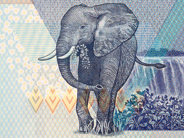 Elefante, un retrato del dinero de Zimbabwe