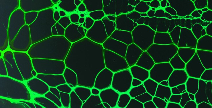 Foto elegância enigmática arte líquida pintada a óleo com cores translúcidas vibrantes