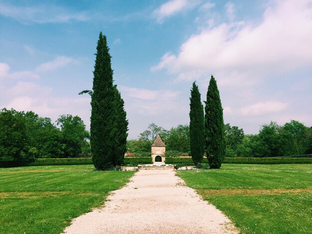 Foto elegancia de un jardín con cipreses inspirados en el estilo italiano