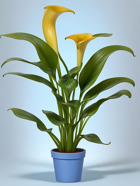 La elegancia de la planta de lirio de Calla en maceta en 8K sobre un fondo azul claro