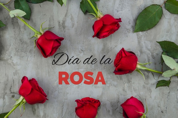 Elegante collage del día de la rosa