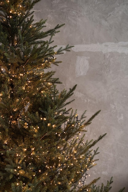 Elegante concepto de Navidad minimalista estético Abeto Abeto Árbol de Navidad con guirnalda de luz brillante contra pared de hormigón gris neutro Preparación de celebración de vacaciones de Año Nuevo de Navidad