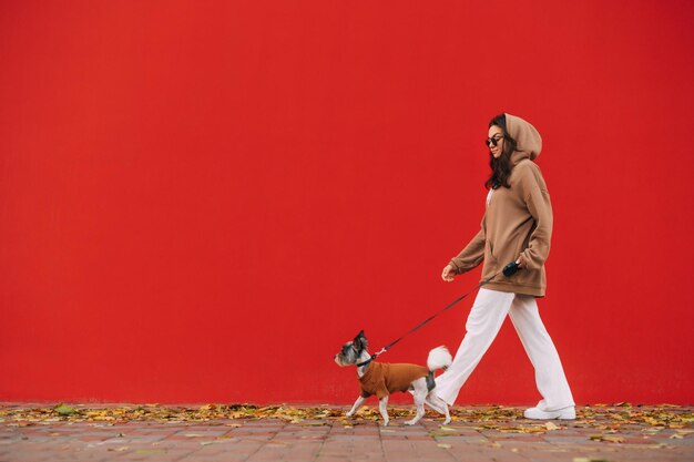 Elegante dama paseando a un lindo perro de raza biewer terrier con una correa en un fondo de pared roja