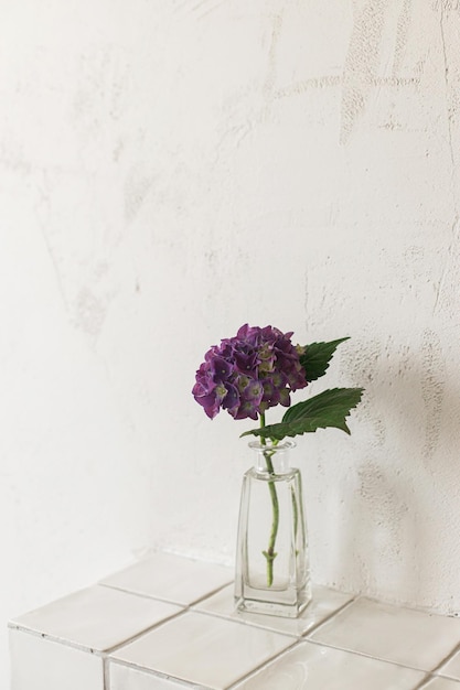 Elegante hortensia morada en un estante de azulejos sobre un fondo de pared rústico