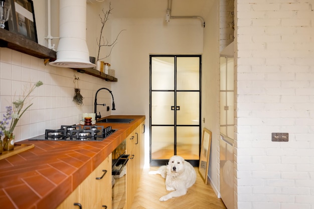 Elegante interior de cocina de apartamento moderno con perro tirado en el suelo