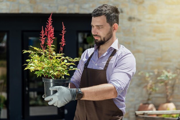 El elegante jardinero cuida la planta verde en el patio trasero de la casa verde