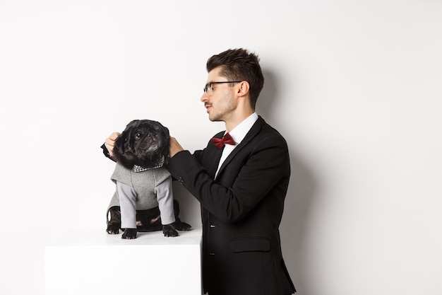 Elegante joven vistiendo lindo pug negro en traje de fiesta, preparándose para la celebración de Navidad, fondo blanco.