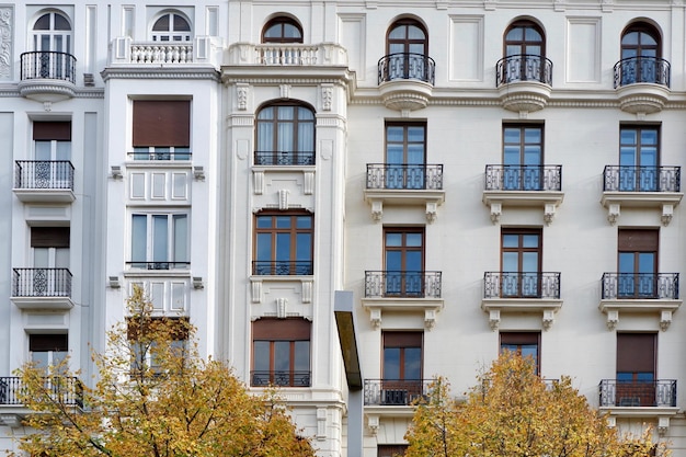 Elegante klassische Fassaden durch herbstliche gelbe Bäume in Zaragoza Aragon Spanien Spanische Vintage-Architektur