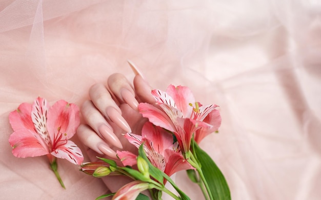 Elegante manicura natural de color rosa pastel manos femeninas con flores alstroemeria sobre fondo de seda rosa