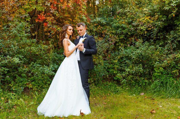 Elegante novia rizada y elegante novio abrazándose sobre fondo verde hermoso