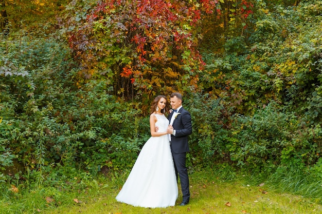 Elegante novia rizada y elegante novio abrazándose sobre fondo verde hermoso