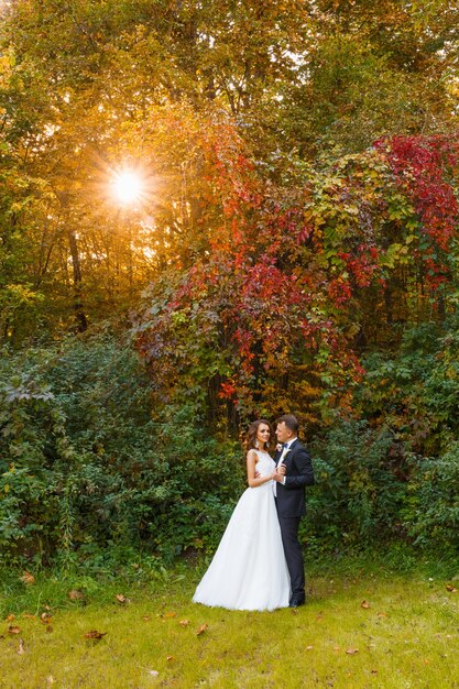 Elegante novia rizada y elegante novio abrazándose sobre fondo verde hermoso