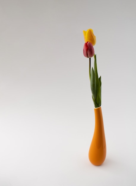 Elegante orange Vase mit gelben und roten Tulpen auf weißem Hintergrund. Elegantes, minimalistisches Konzept.