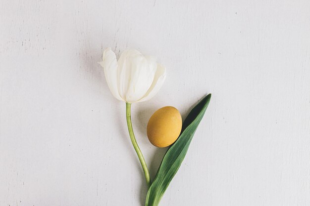 Elegante ovo de Páscoa e tulipa plana em madeira branca rústica Cartão feliz de Páscoa