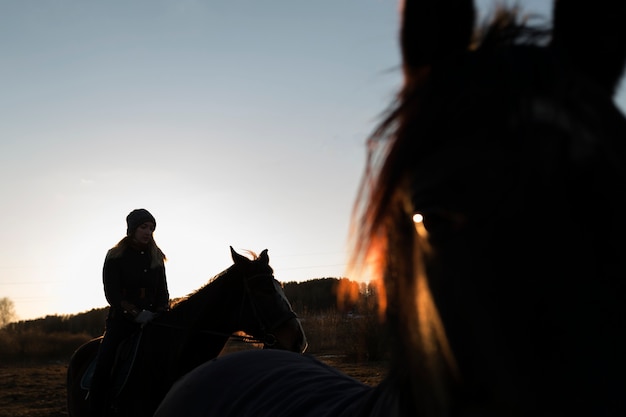 Elegante Pferdesilhouette gegen Morgenhimmel