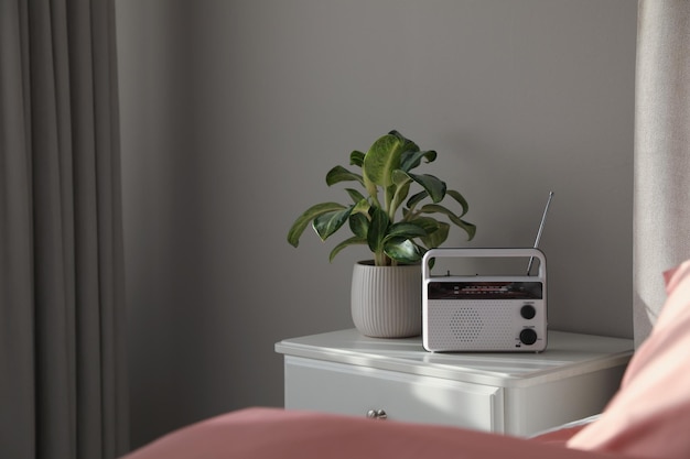 Elegante receptor de rádio e planta na mesa de cabeceira no quarto