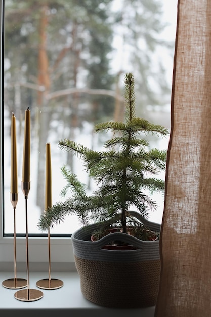 Elegante Zusammensetzung des Weihnachts-Loungezimmers mit Kerzenstangen mit Kerzenchimmel