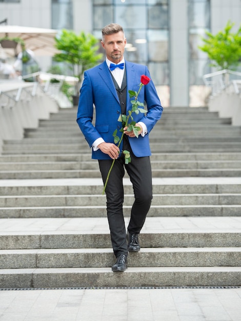 Eleganter Mann im Smoking Mann mit Smoking Bowtie im Freien grizzled Smoking Mann mit roter Rose