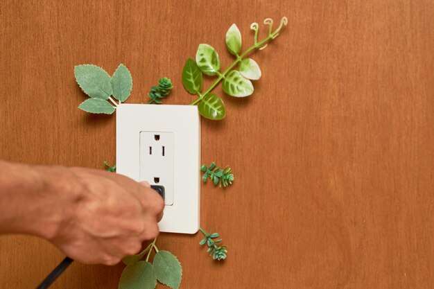 Elektrischer Stecker mit Pflanzen grünes Stromkonzept erneuerbare Energienachhaltigkeit