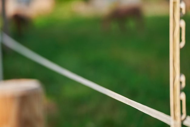 Elektrischer Zaun auf dem Feld zum Schutz der Pferde Elektrischer Zaun für das Vieh Zaunpfosten mit elektrischen Drähten und Isolatoren auf dem Hof