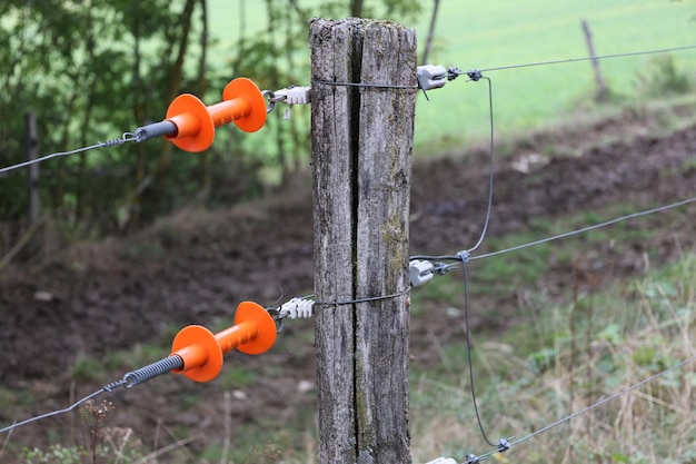 Foto elektrisches zauntor, das grüne grasweide schützt