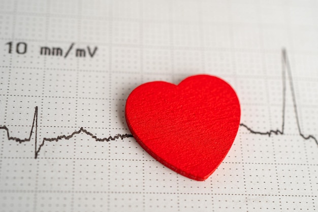 Elektrokardiogramm-EKG mit rotem Herzherzwellen-Herzinfarkt-Kardiogrammbericht
